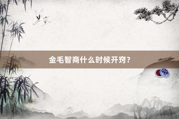 金毛智商什么时候开窍？