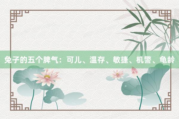 兔子的五个脾气：可儿、温存、敏捷、机警、龟龄