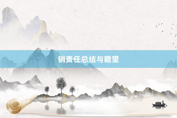 销责任总结与瞻望